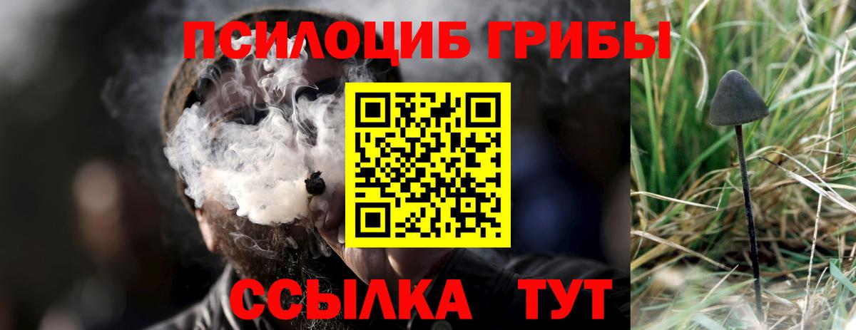 Псилоцибиновые грибы Magic Shrooms  Псилоцибиновые грибы мицелий  Донецк  Вход с VPN 